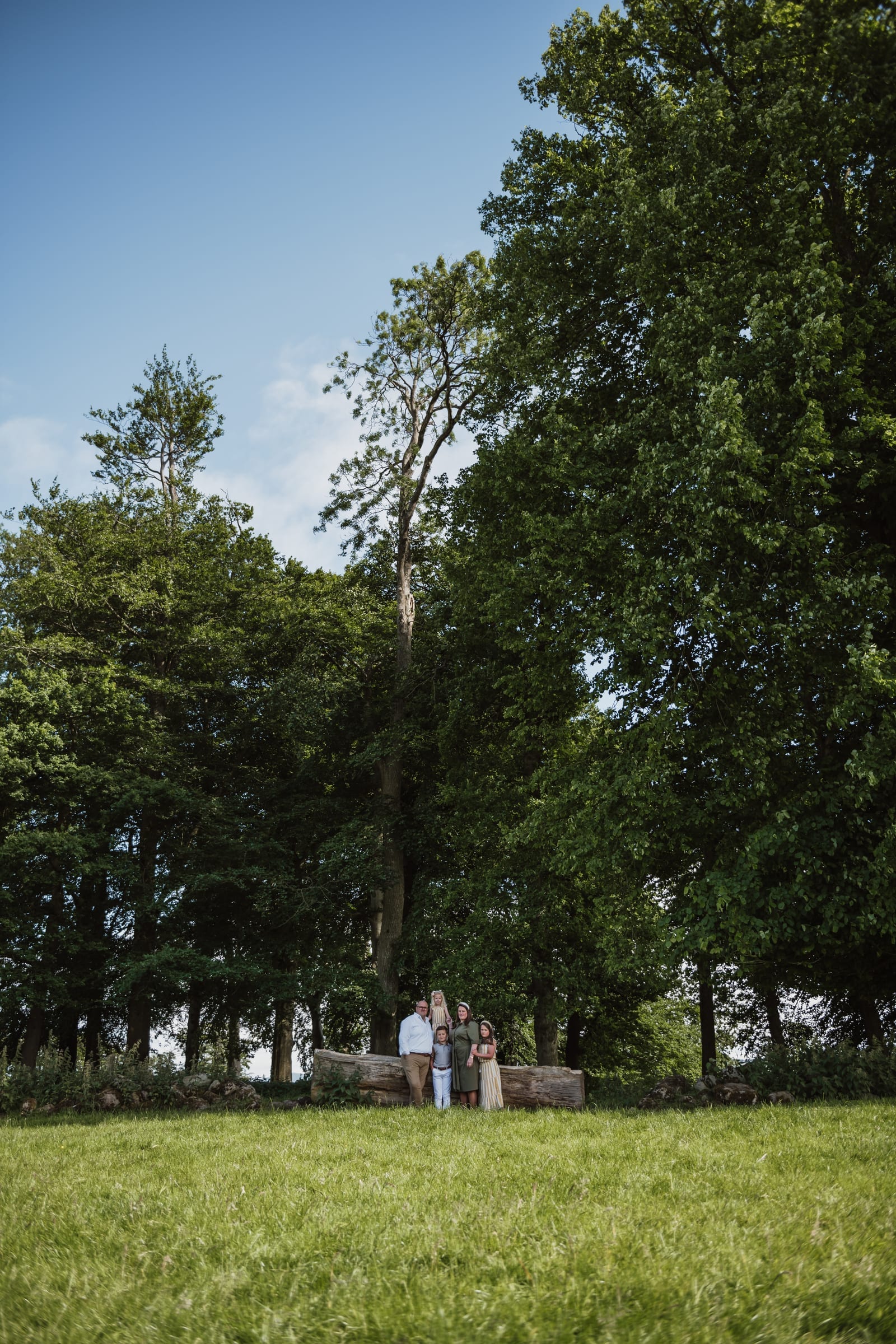 A family of four standing small at the foot of tall summer trees, beside a dry stone wall, across a wide lawn.