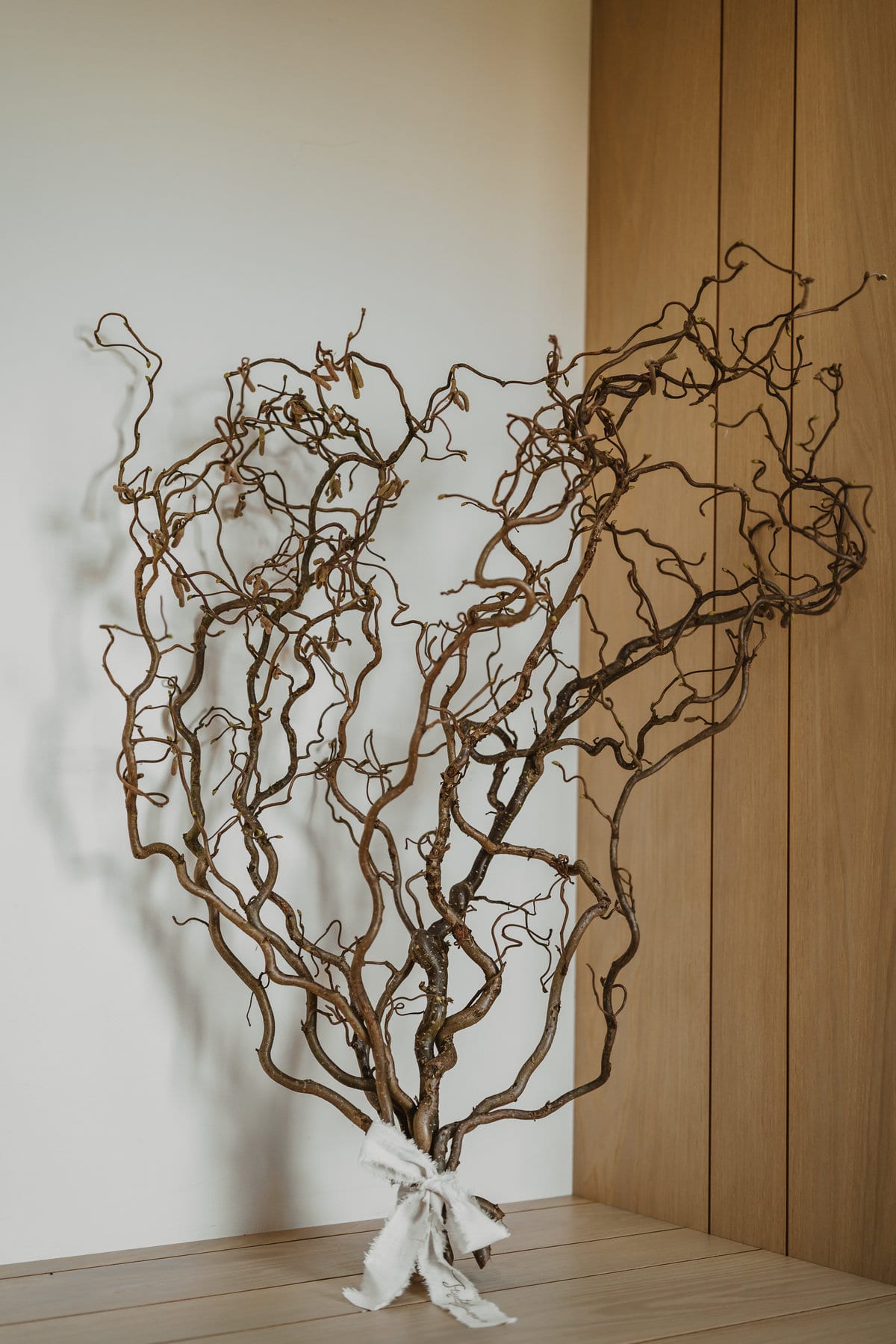 Bare contorted hazel stems tied with linen, standing against a pale wall and an oak door.