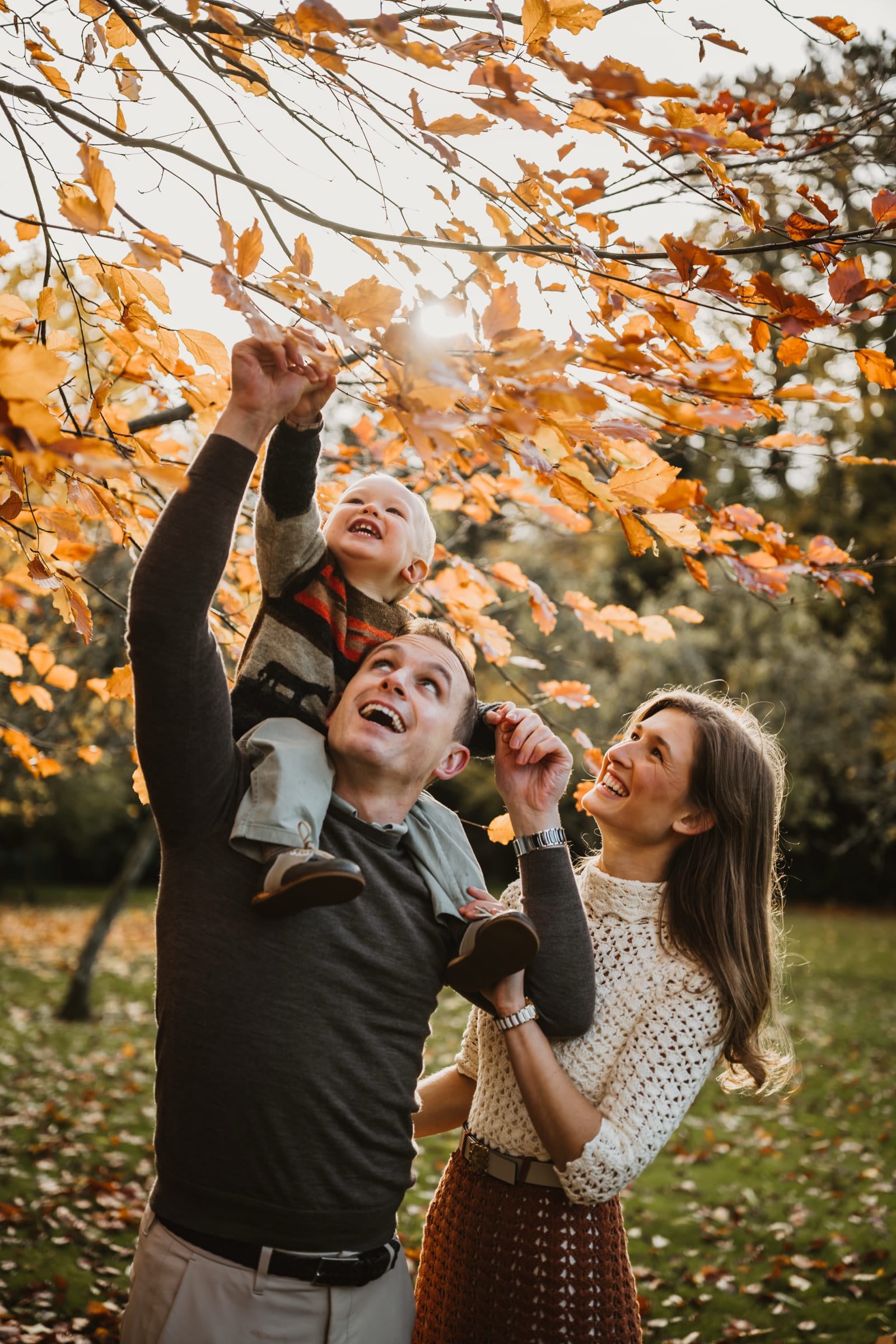 A man with a small child on his shoulders reaching up into beech branches in autumn, a woman beside them laughing, low sun through orange leaves.